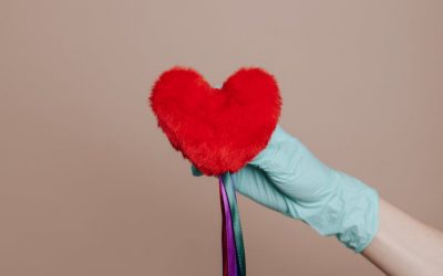 Dutch law makes every adult an organ donor