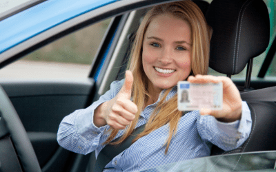 Dutch driving license