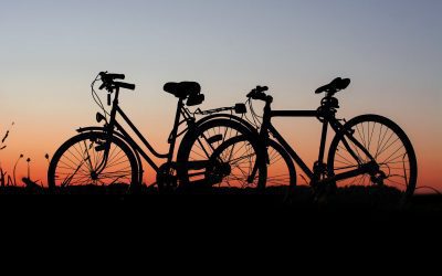 THE NETHERLANDS: A REAL CYCLING COUNTRY